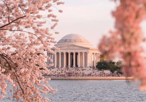 The Best Time to See Cherry Blossom Trees in Washington DC