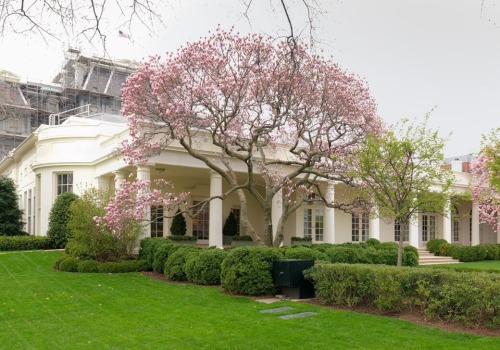 The White House Rose Garden: A Symbol of American History and Culture